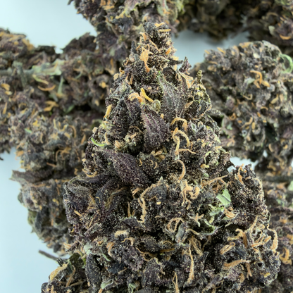PURPLE PUNCH - FLEUR DE CBD BIO