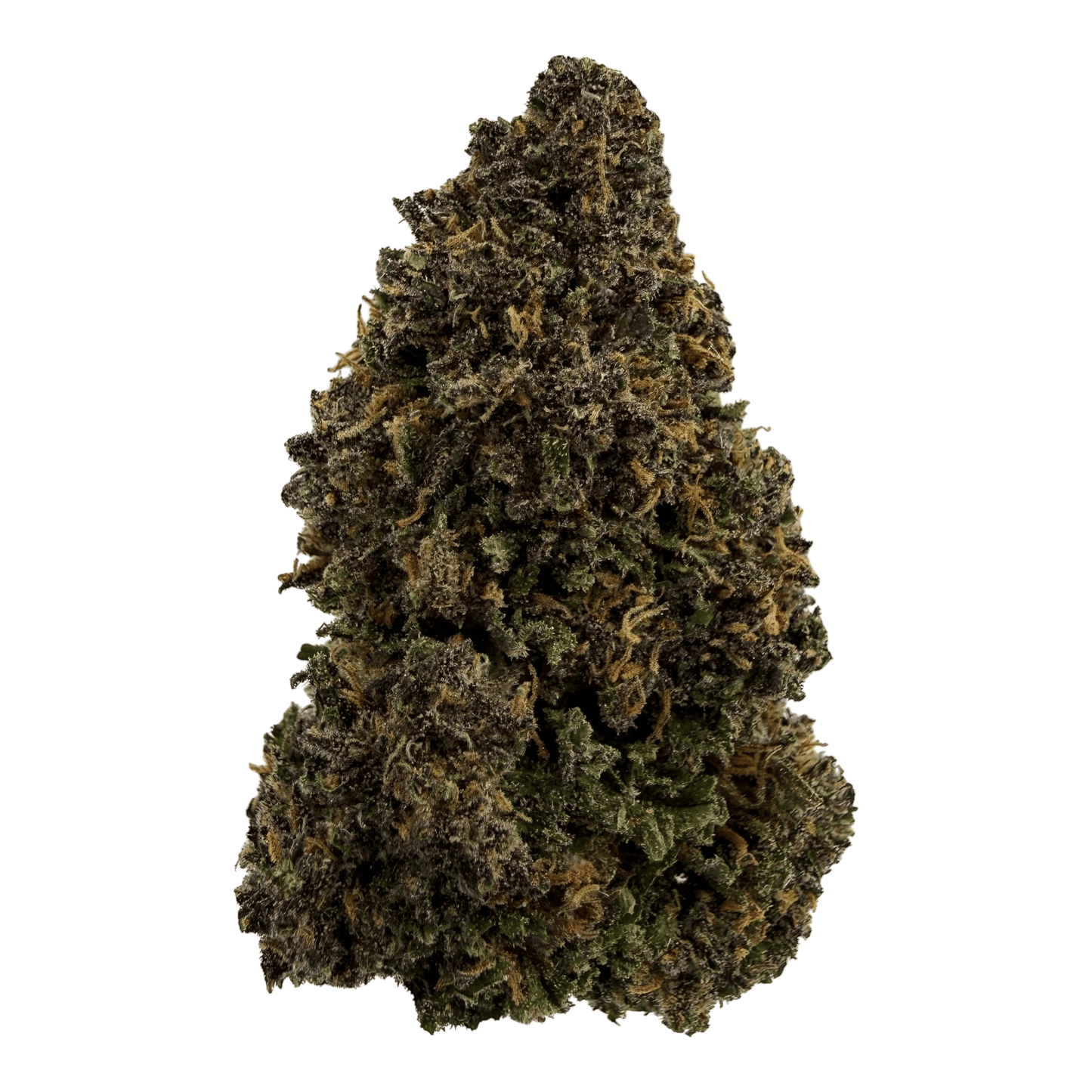 PURPLE HAZE – BIO-CBD-BLÜTE