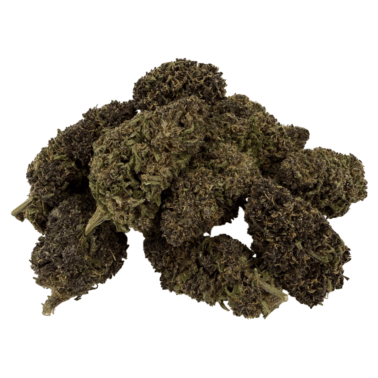 PURPLE HAZE – BIO-CBD-BLÜTE