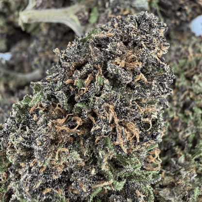 PURPLE HAZE – BIO-CBD-BLÜTE