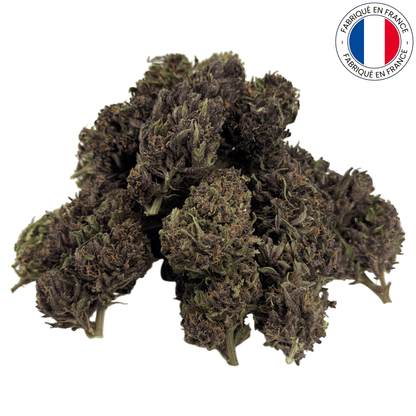Purple Punch - Fleur de CBD bio (Amour de Chanvre)