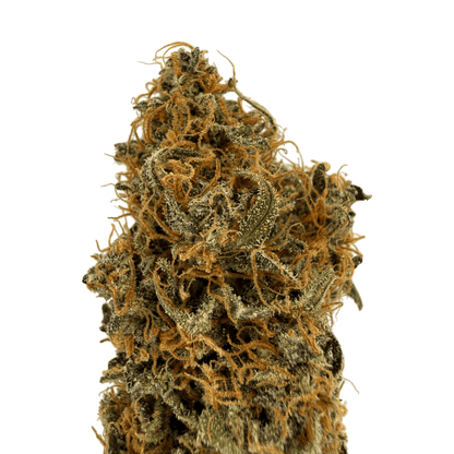 RAINBOW SHERBET - FLEUR DE CBD - INDOOR