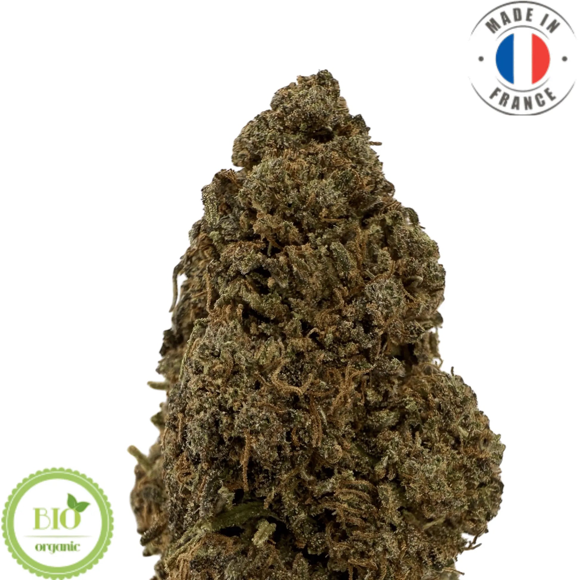 Raspberry Bear Claw - Fleurs de CBD Bio (Amour de Chanvre)