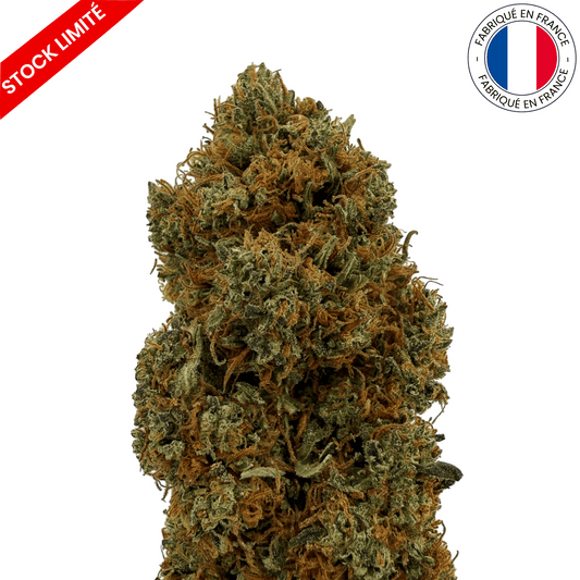 Rocket Sauce - Fleur de CBD - Light Dep -(Amour de Chanvre)