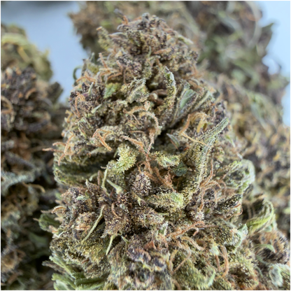 SAPPHIRE KUSH - FLEUR DE CBD BIO