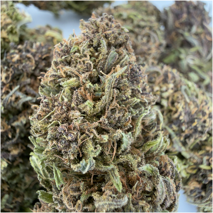 SAPPHIRE KUSH - FLEUR DE CBD BIO