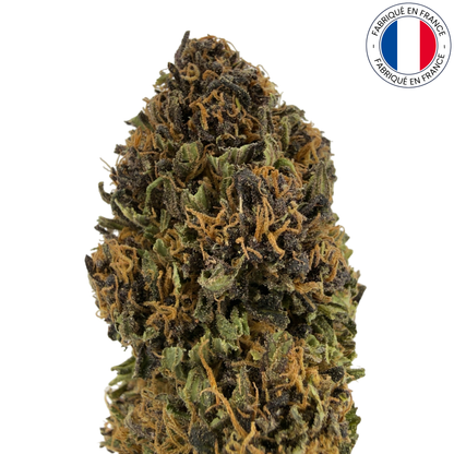 SAPPHIRE KUSH - Fleur de CBD bio (Amour de Chanvre)