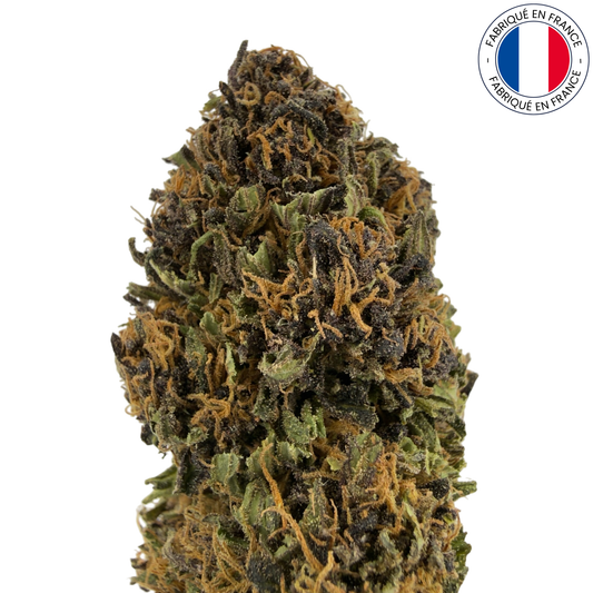 SAPPHIRE KUSH - Fleur de CBD bio (Amour de Chanvre)
