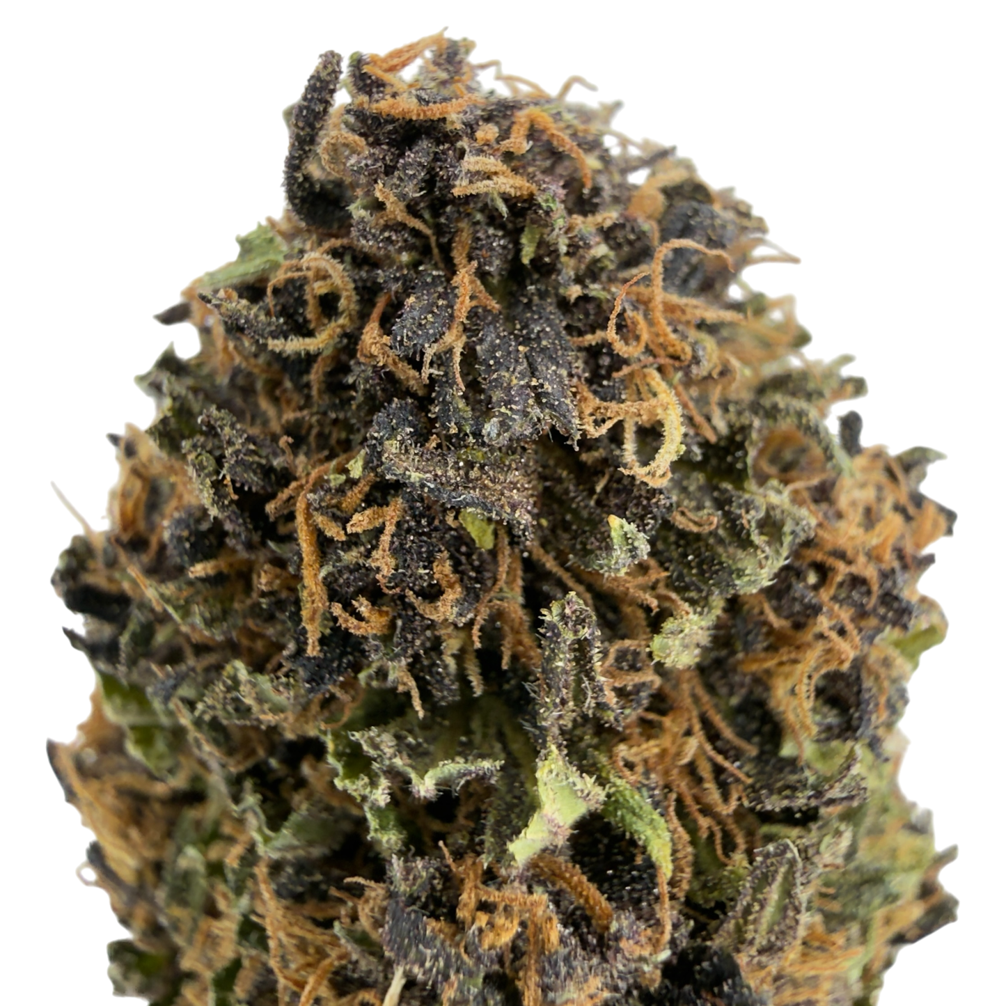 SAPPHIRE KUSH - FLEUR DE CBD BIO