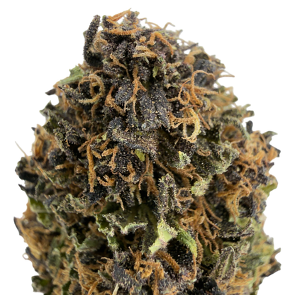 SAPPHIRE KUSH - FLEUR DE CBD BIO