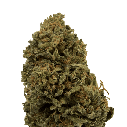 SKUNK - FLEUR DE CBD BIO