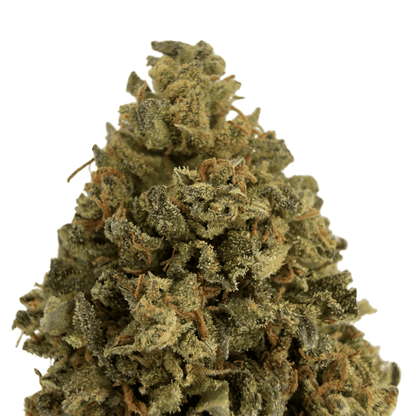 SKUNK - FLEUR DE CBD BIO