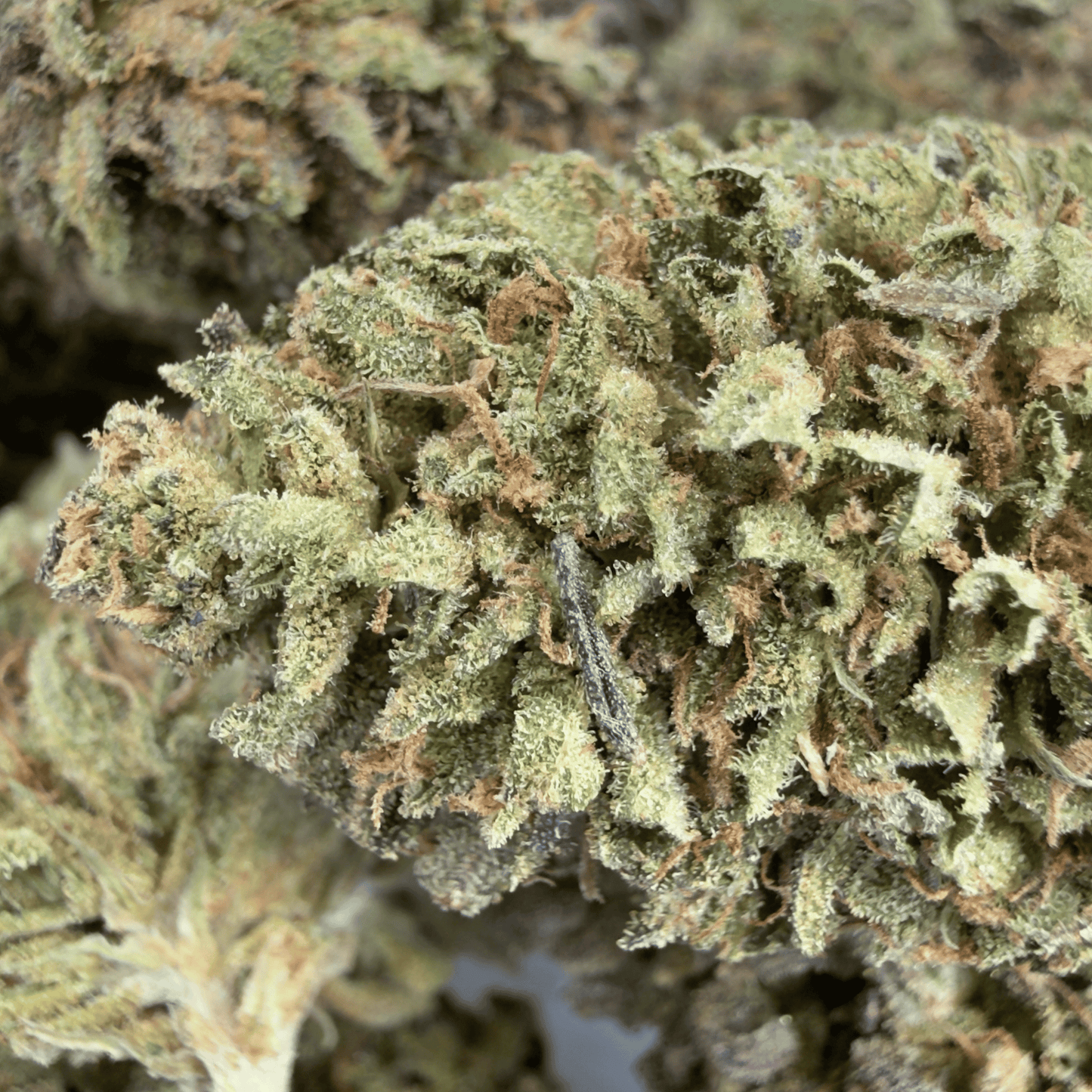 SKUNK - FLEUR DE CBD BIO