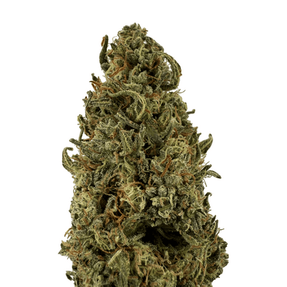 SKUNK JAM - FLEUR DE CBD BIO - LIGHT DEP