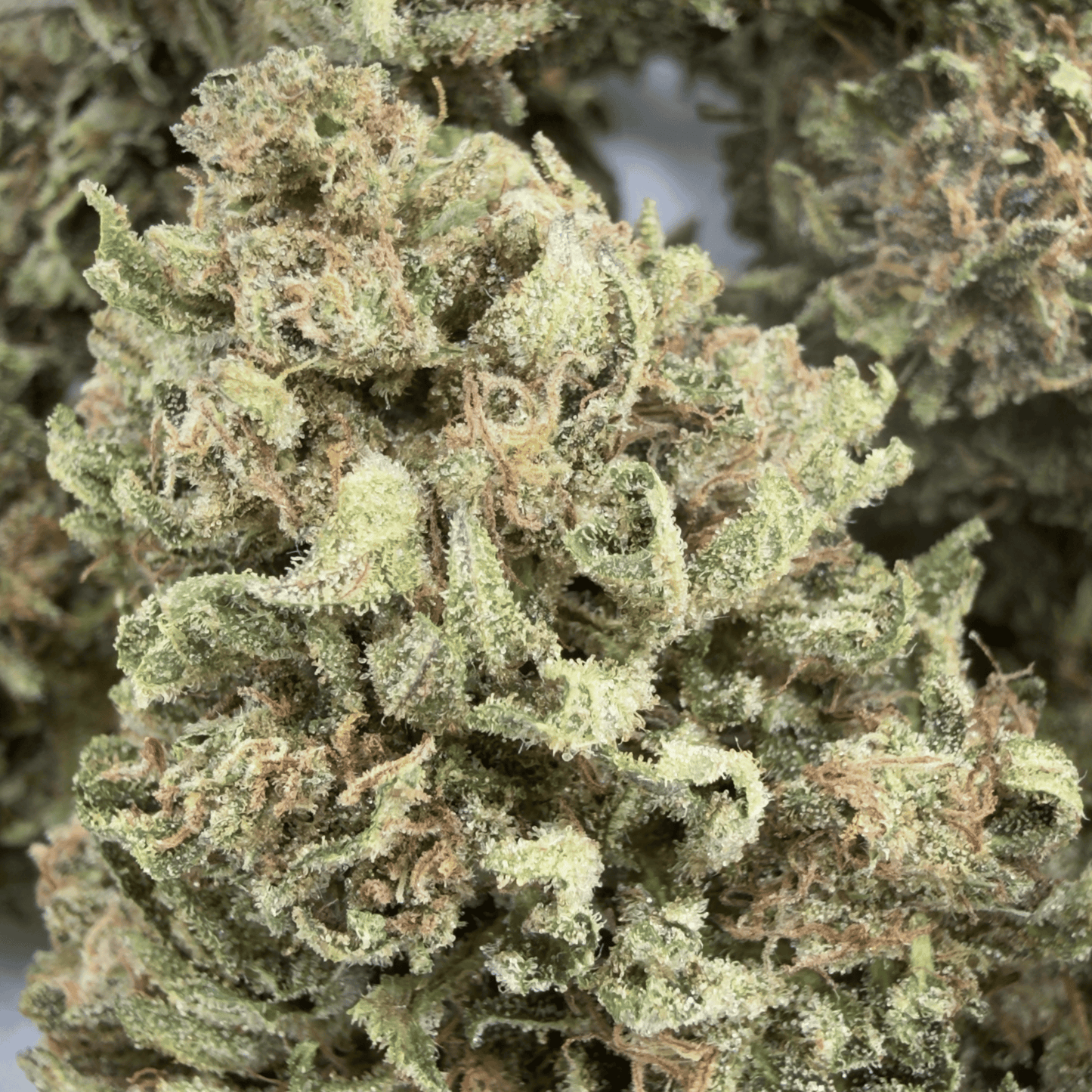 FRESA - FLOR DE CBD ORGÁNICA