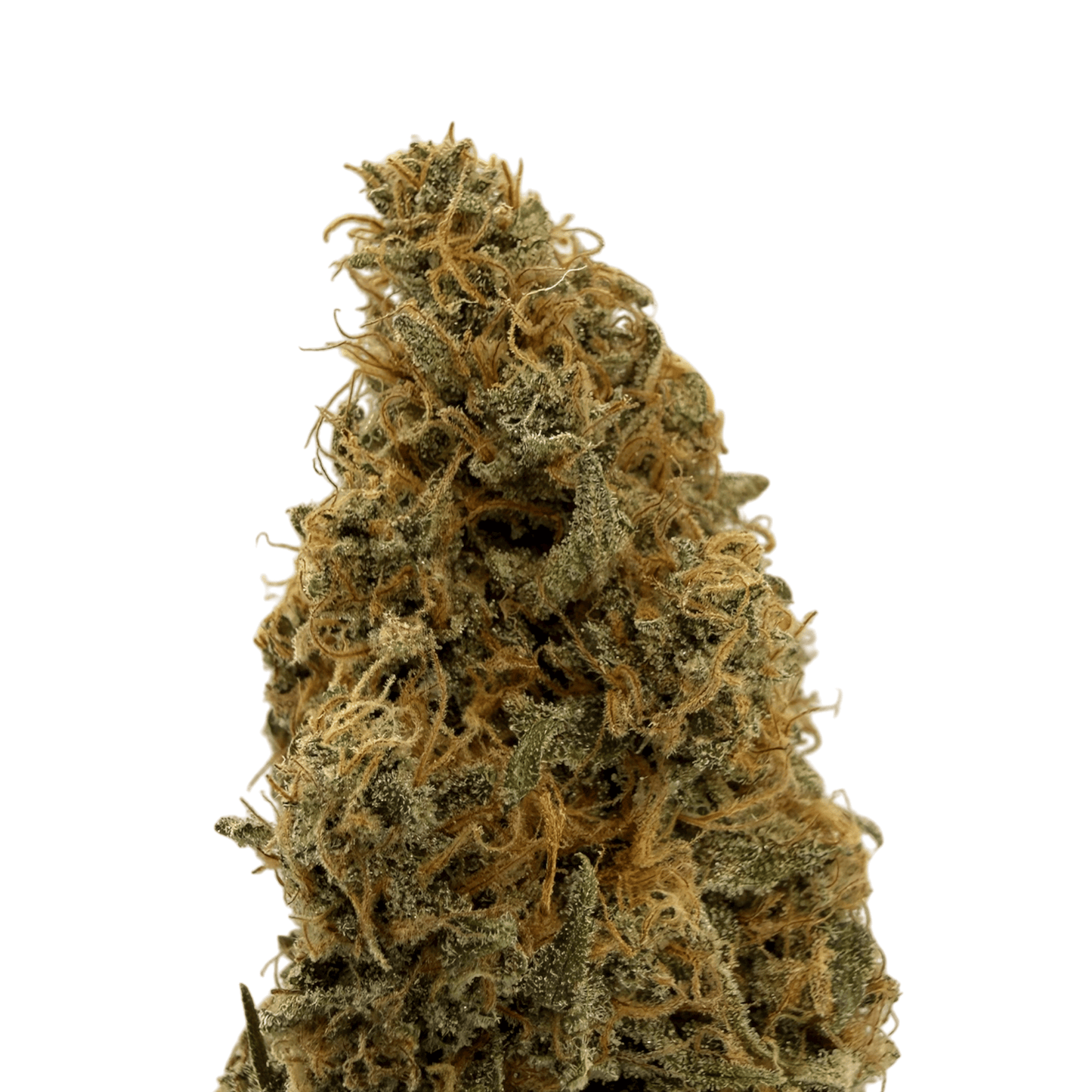 STRAWBERRY SQUEEZE - FLEUR DE CBD - INDOOR