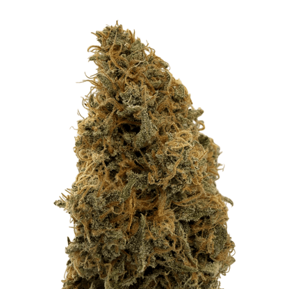 STRAWBERRY SQUEEZE - FLEUR DE CBD - INDOOR