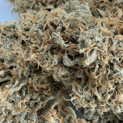 STRAWBERRY SQUEEZE - FLEUR DE CBD - INDOOR