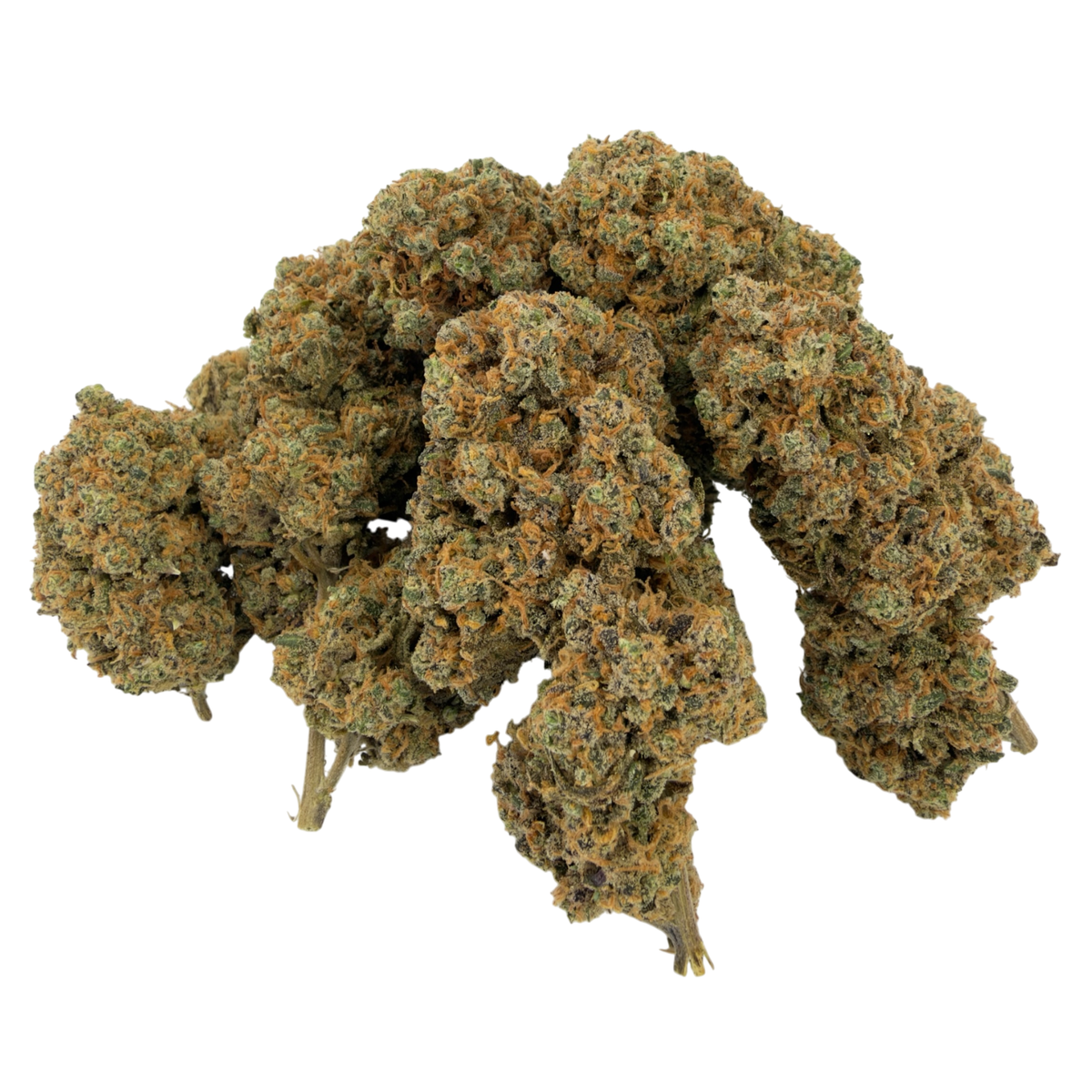 SUNSET BERRY - CBD-BLÜTE - INDOOR