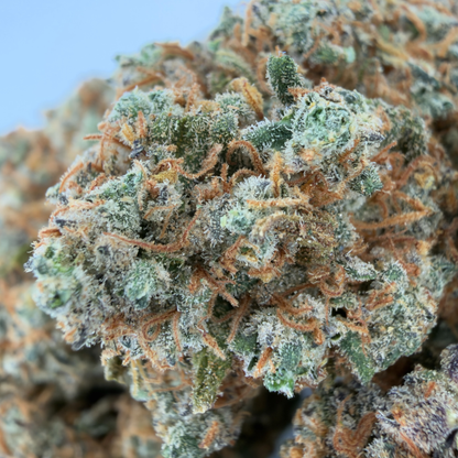 SUNSET BERRY - CBD-BLÜTE - INDOOR