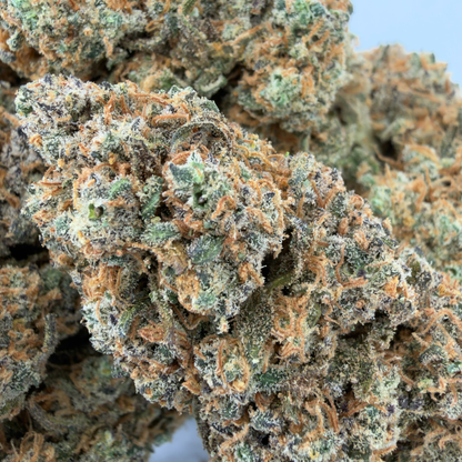 SUNSET BERRY - CBD-BLÜTE - INDOOR