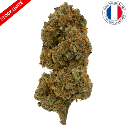Sunset Berry - Fleur de CBD Indoor (Amour de Chanvre)