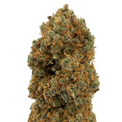 SUNSET BERRY - CBD-BLÜTE - INDOOR