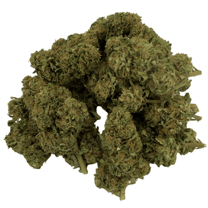 SUPER LEMON - FLEUR DE CBD BIO