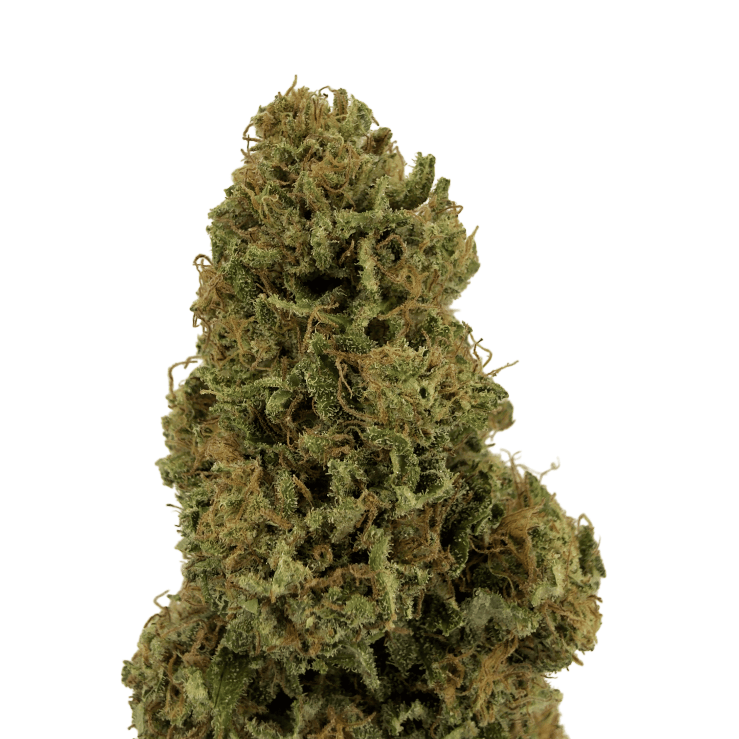 SUPER LEMON - FLEUR DE CBD BIO