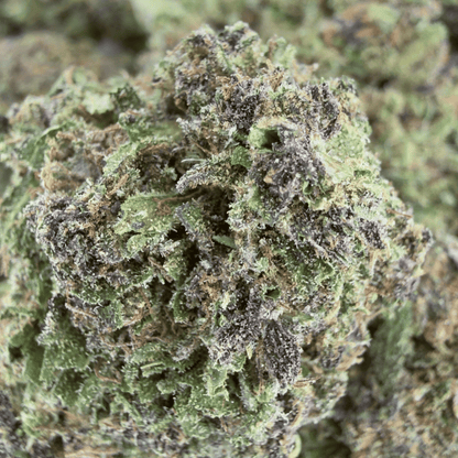 SUPER LEMON HAZE - FLOR DE CBD ORGÁNICO