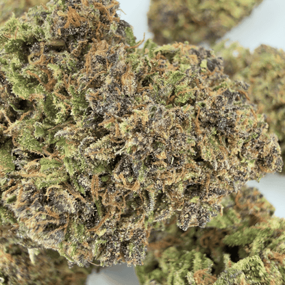 SUPER LEMON HAZE - FLOR DE CBD ORGÁNICO