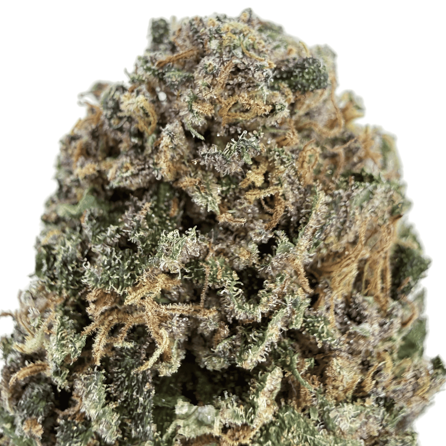 SWEET CREAM - FLEUR DE CBD ORGANIQUE