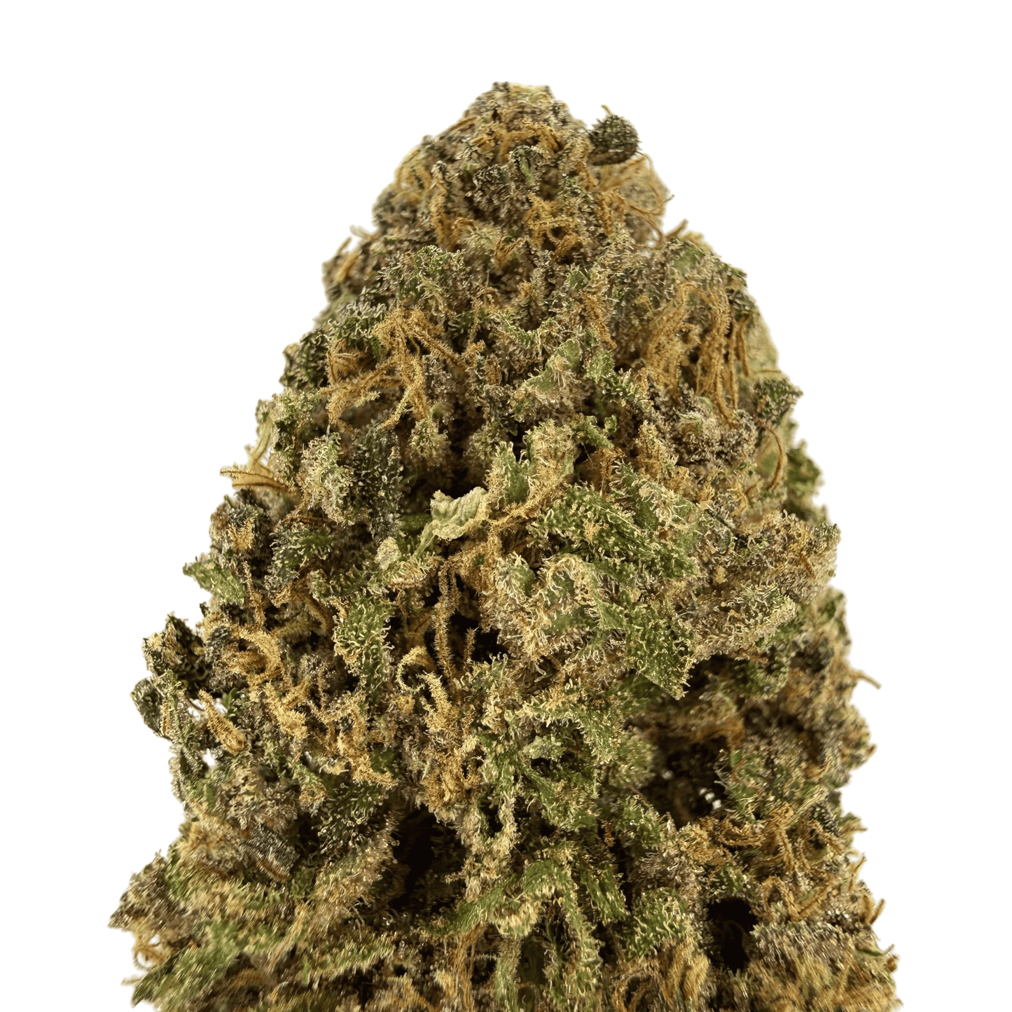 SWEET CREAM - FLEUR DE CBD ORGANIQUE