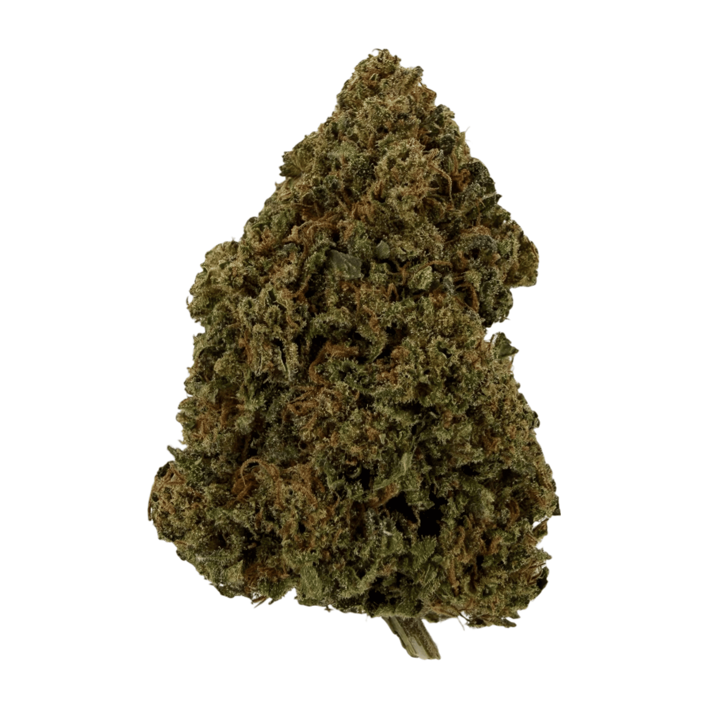 SWEET TARTS - FLEUR DE CBD BIO