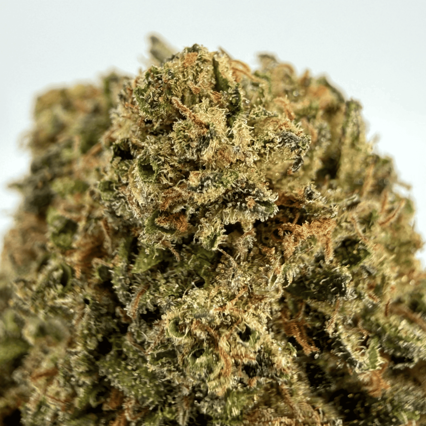 SWEET TARTS - FLEUR DE CBD BIO