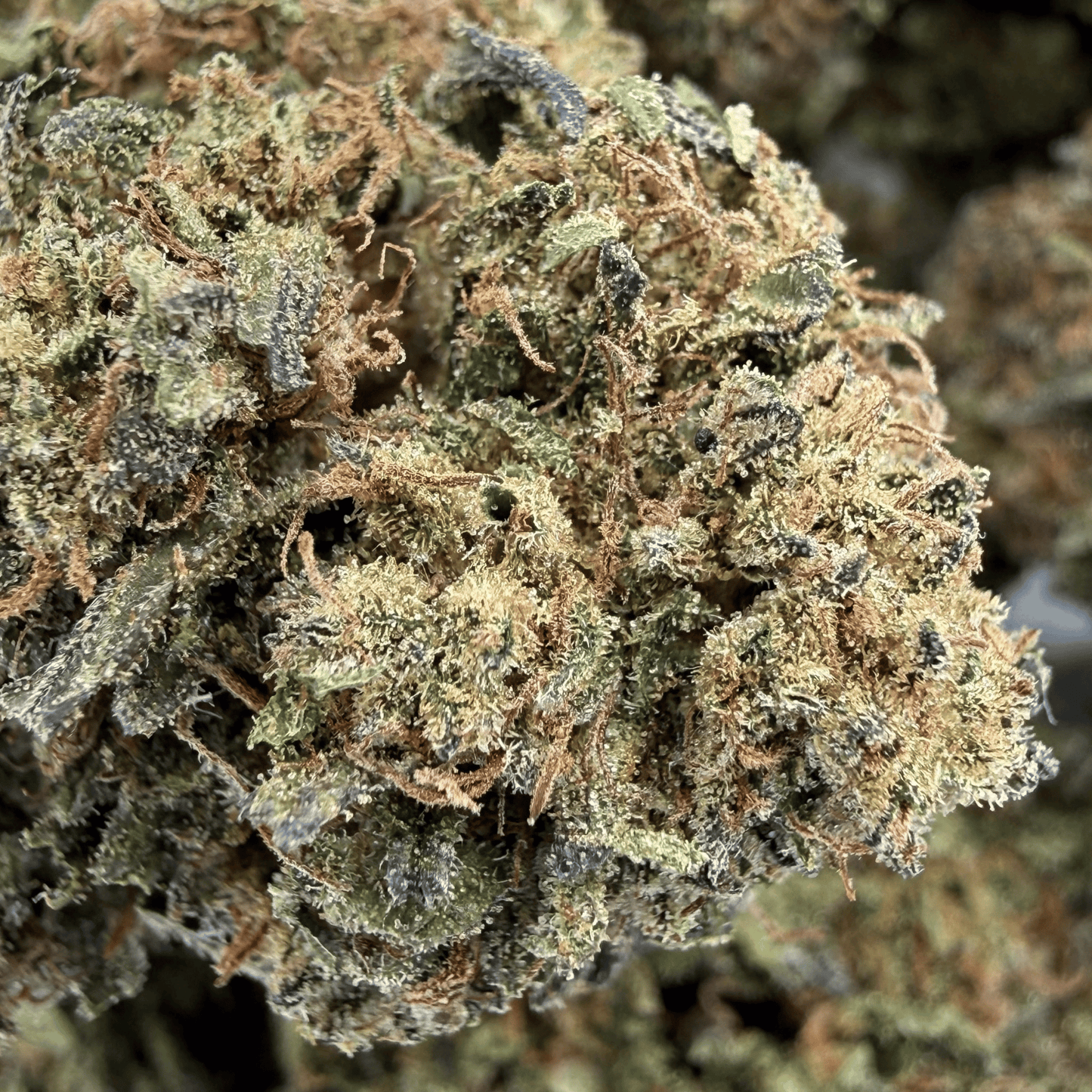 SWEET TARTS - FLEUR DE CBD BIO