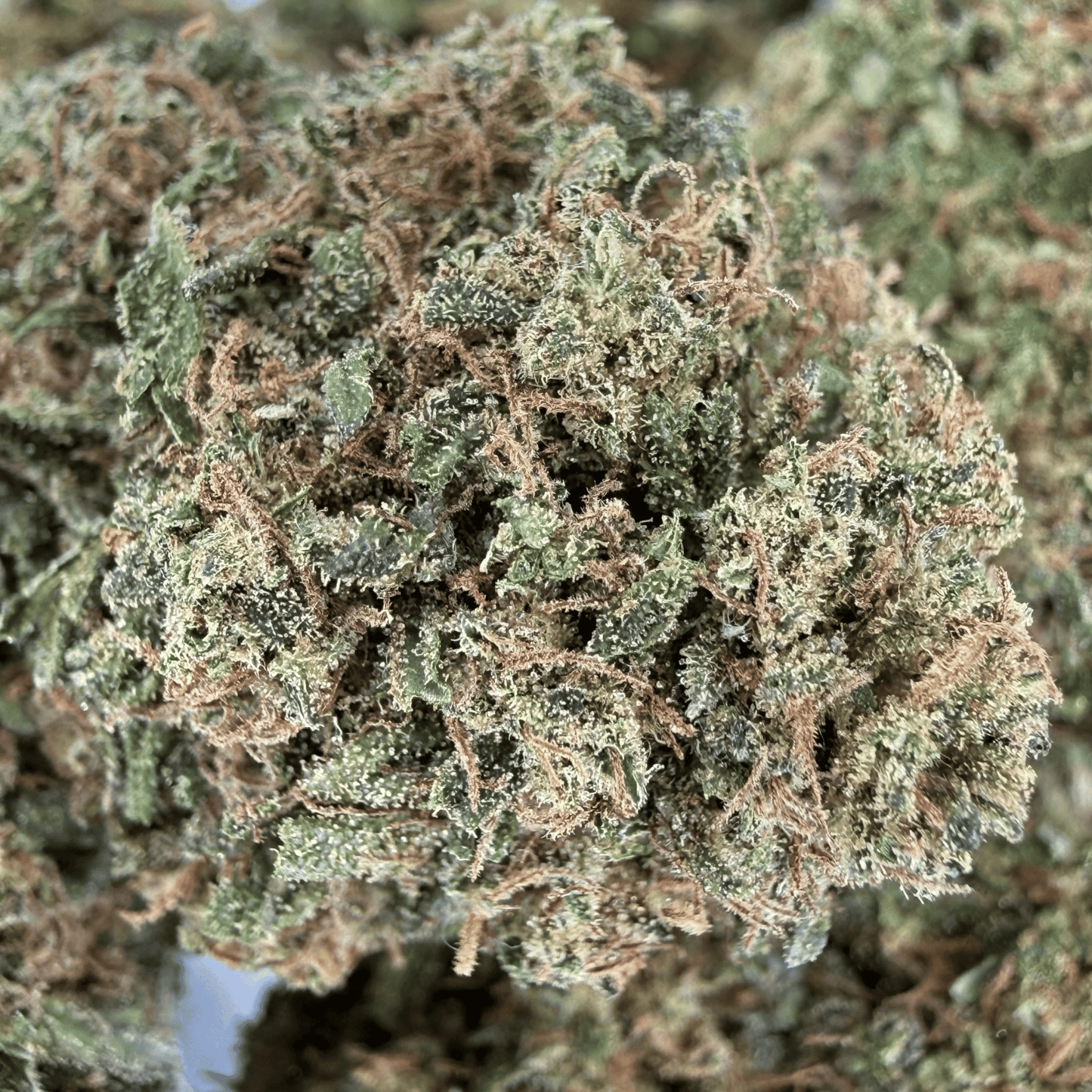 SWEET TARTS - FLEUR DE CBD BIO