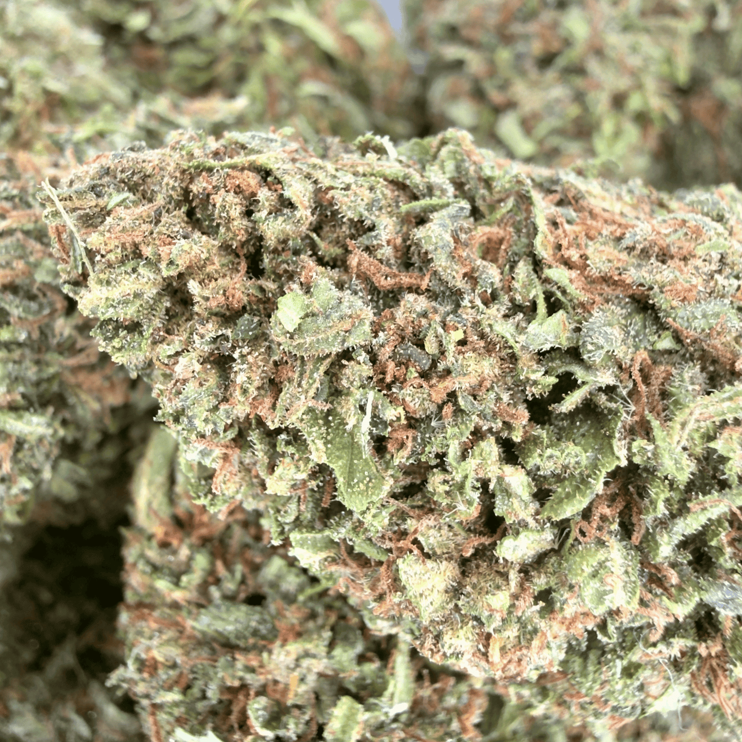 TROPICAL - BIO-CBD-BLÜTE