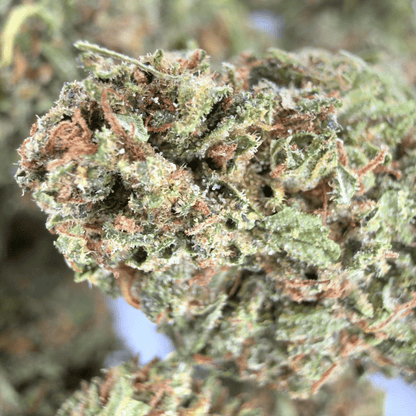TROPICAL - BIO-CBD-BLÜTE