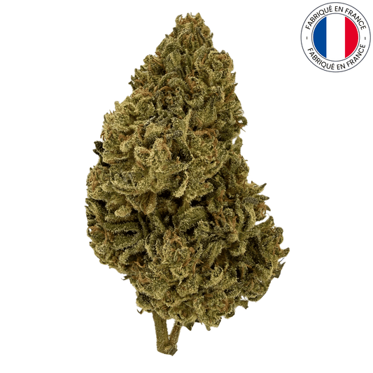 Tropical Fruit Scoops - fleur de cbd bio (Amour de Chanvre)