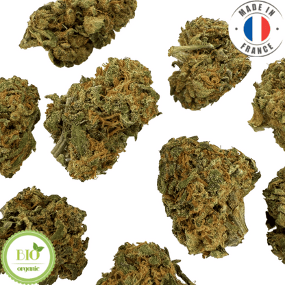 TROPICAL PUNCH - Petite fleur de CBD bio (Amour de Chanvre)