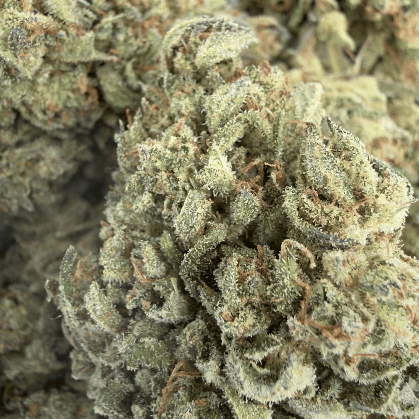 TROPICAL FRUIT SCOOPS - FLEUR DE CBD BIO