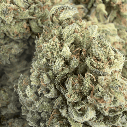 TROPICAL FRUIT SCOOPS - FLEUR DE CBD BIO