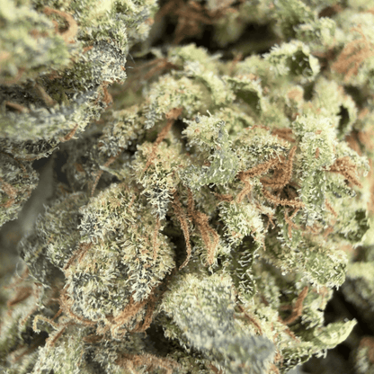 TROPICAL FRUIT SCOOPS - FLEUR DE CBD BIO