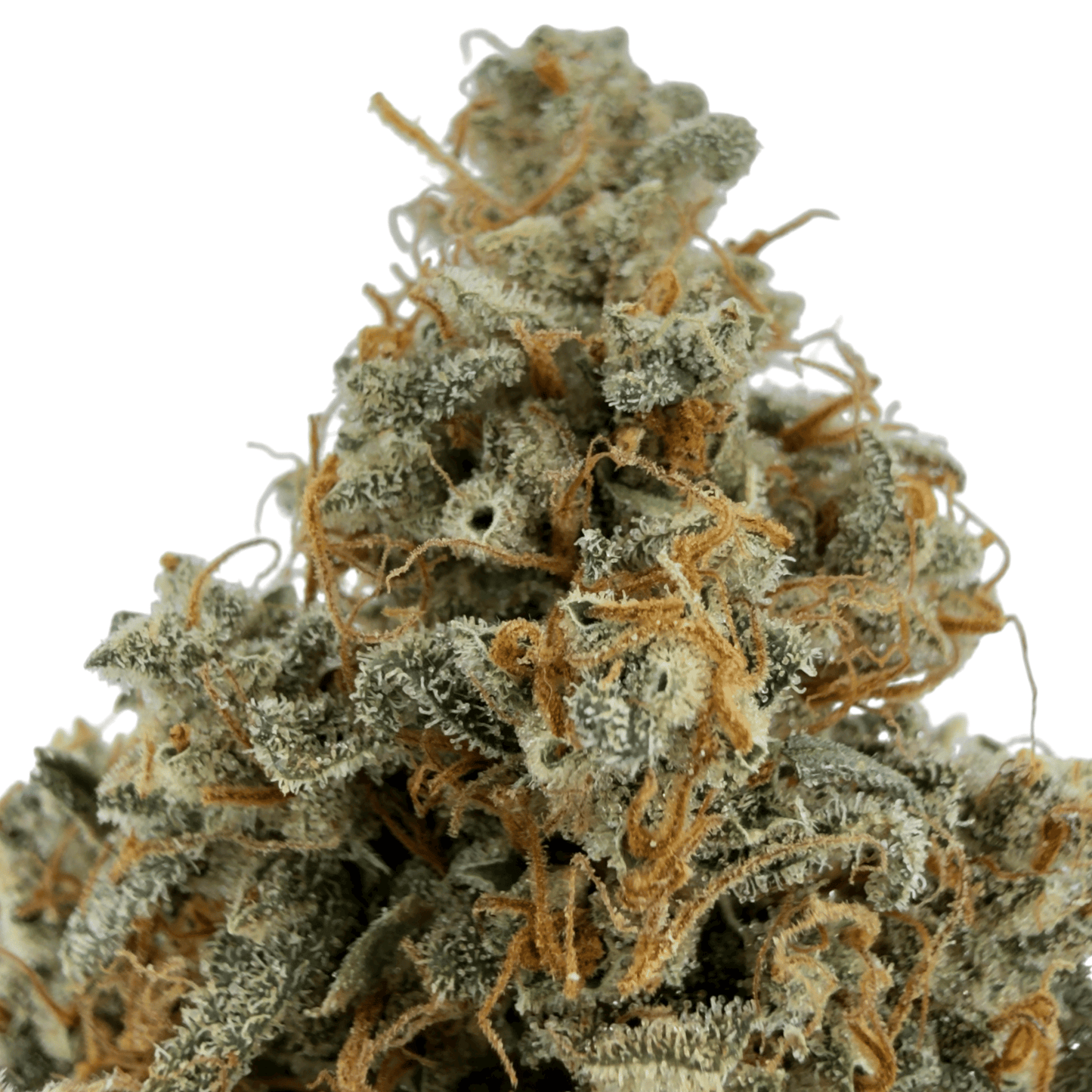 TROPIC SUNSET - FLEUR DE CBD - INDOOR