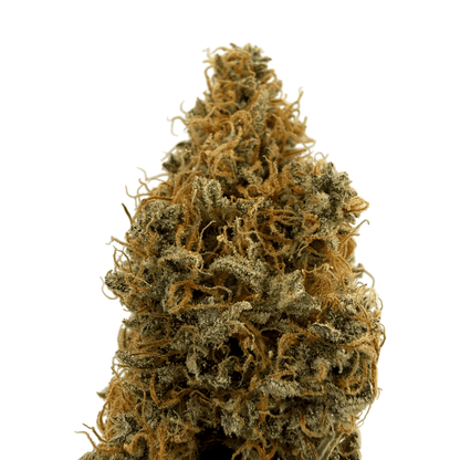 TROPIC SUNSET - FLEUR DE CBD - INDOOR