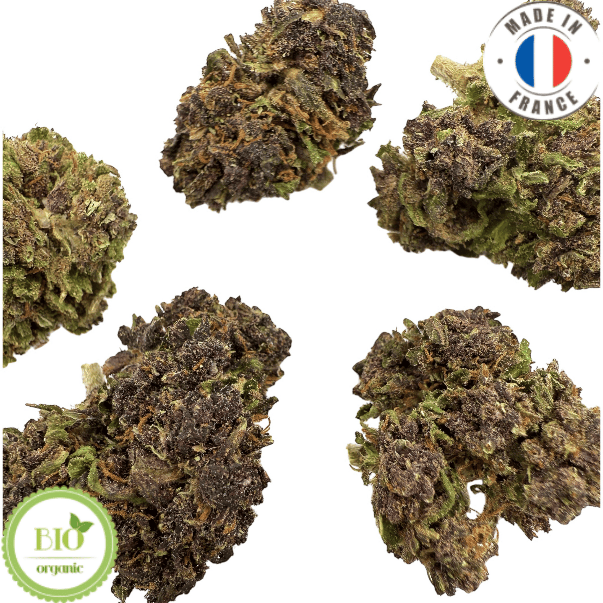 VANILLA KUSH - Petite fleur de CBD bio (Amour de Chanvre)