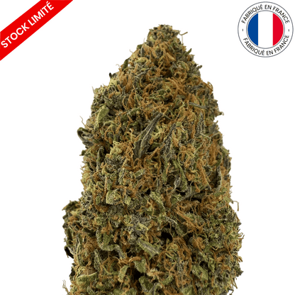 Yak Pudding - Fleur de CBD - Light Dep -(Amour de Chanvre)