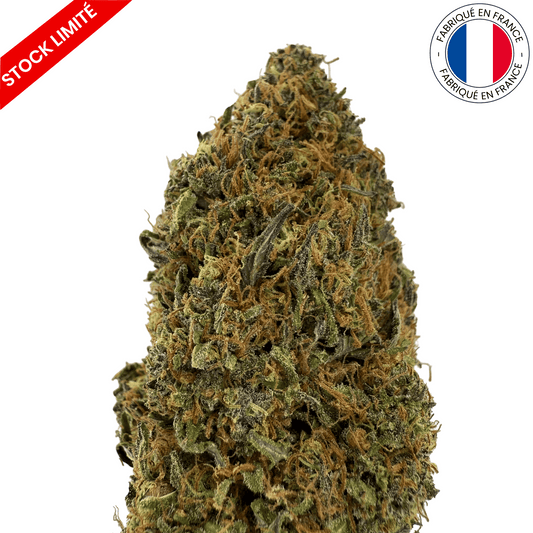 Yak Pudding - Fleur de CBD - Light Dep -(Amour de Chanvre)