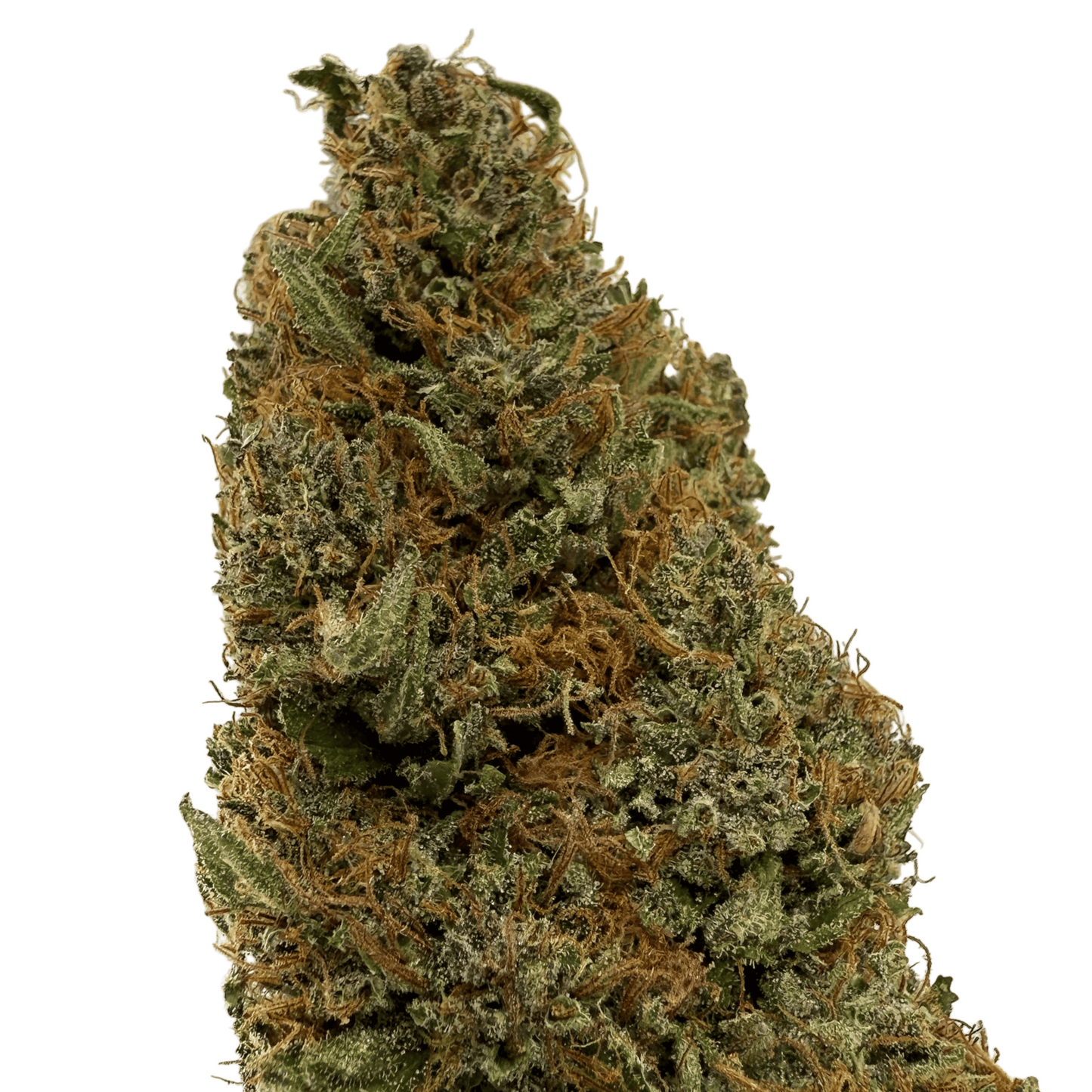 YAK PUDDING - FLEUR DE CBD BIO - LIGHT DEP